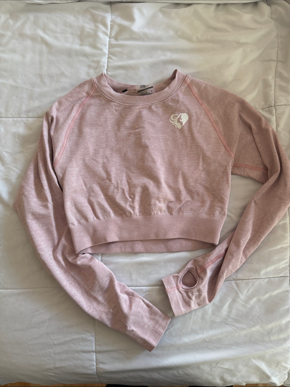 Women's Best Cropped Long-Sleeve Top in Dusty Pink